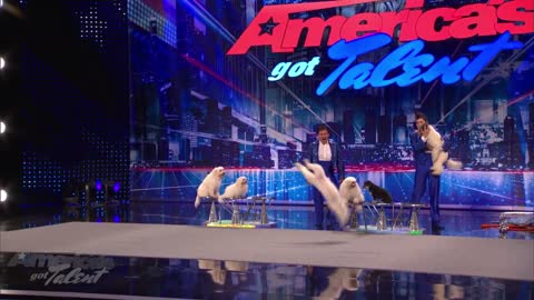 Jump-Roping Dog - Olate Dogs Audition - America's Got Talent Season 7