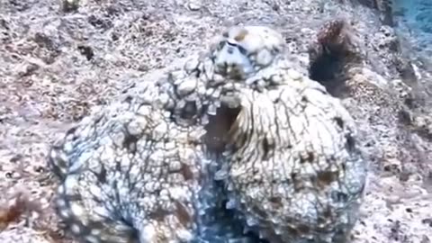 How to make a new car for a bit of being a