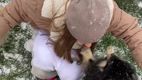 Lush puppies are enjoying with girl in snow.