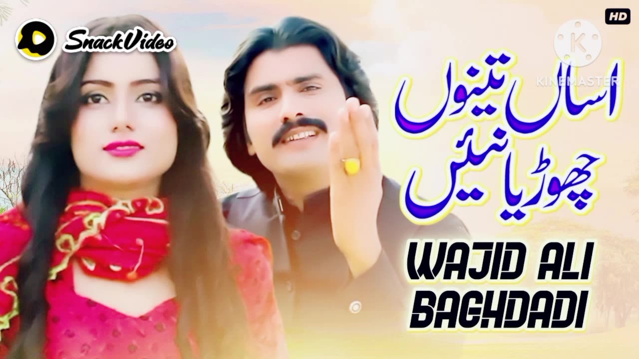 Asan tenu chadaya nhi | Wajid Ali Baghdadi | New sariki song