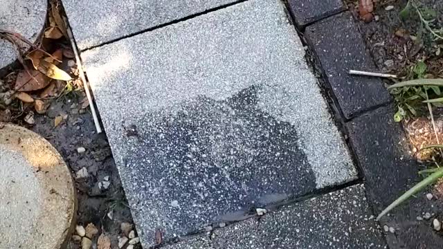 Satisfying pressure washing