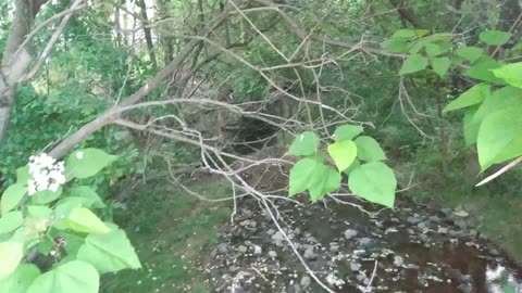 THINGS IN THE WORLD/CAMPS WITH STRIFE AMONG THEMSELVES.