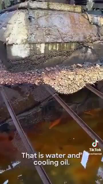 Anyone know what this thing is