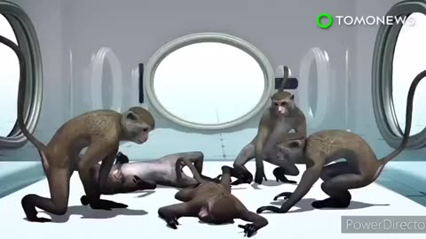 Mad Scientists Are Playing God In Their Underground Labs Creating Monkey Human Hybrids!
