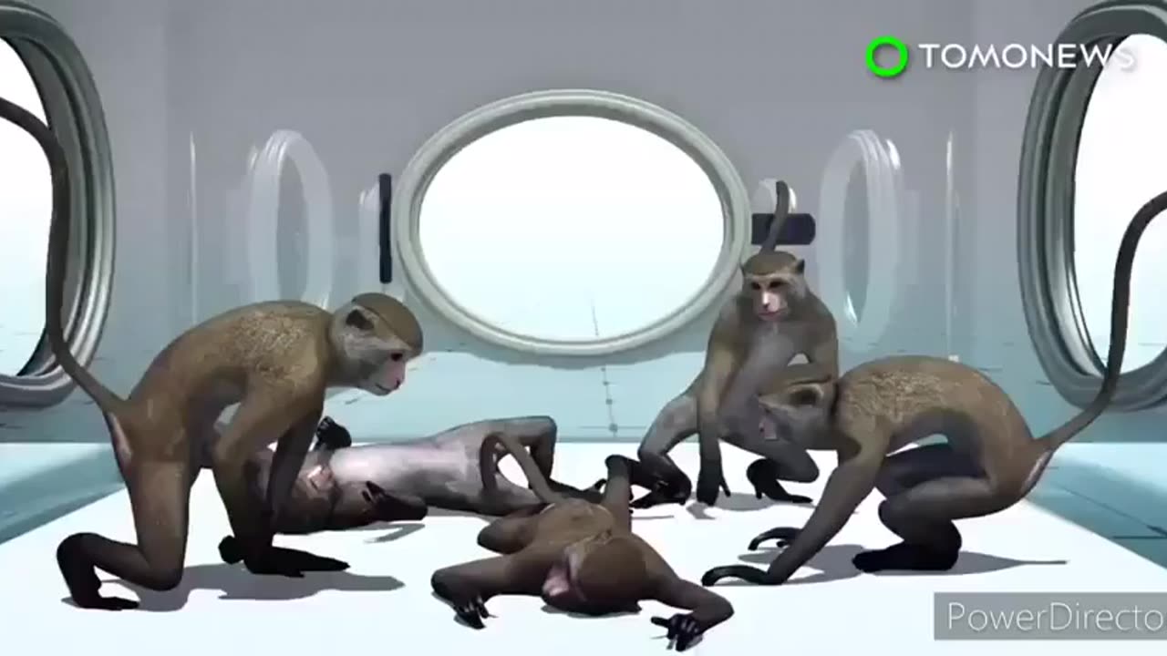 Mad Scientists Are Playing God In Their Underground Labs Creating Monkey Human Hybrids!