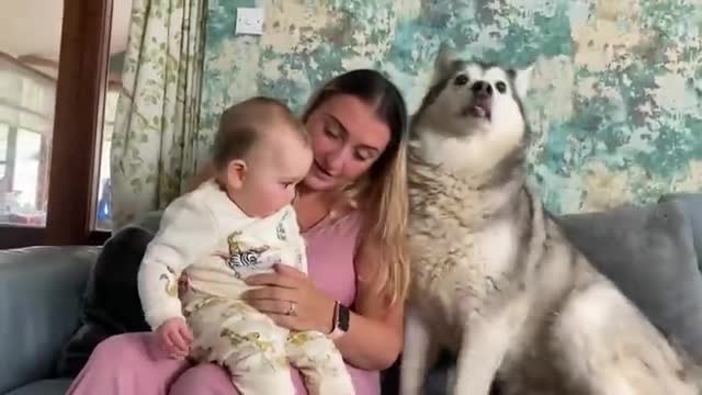 Husky Thinks She’s My Babies Mum!😭.