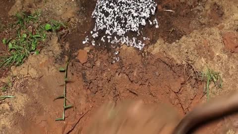 Pour Liquid Aluminum Into The Ants' Nest With The Result Obtained.