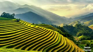Relaxing Music | Sleeping, Meditation, Stress Relief | [5180] ⭐️