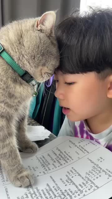 Little kid does his homework with his cat