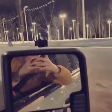 Moose On The Loose, Chases & Surprise Attacks Woman With A Kick To The Head While Walking Her Dog