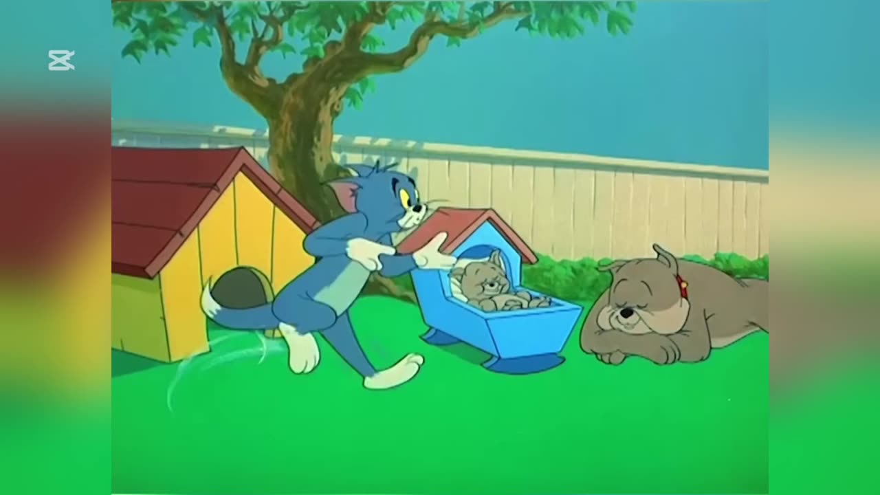 Tom & Jerry | Classic Cartoon 😎