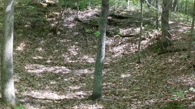 A Mysterious Sinkhole Found--What is it?