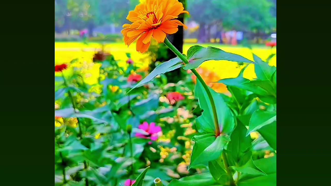 Cute village flower