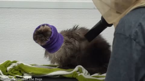 A Really Stretchy Head
