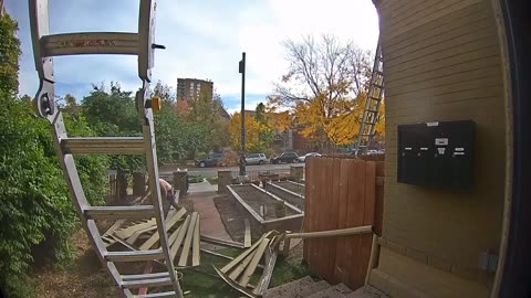 Man Falls From Ladder and Casually Walks Away