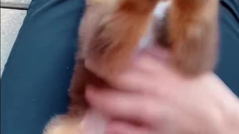 Had to post with this sound