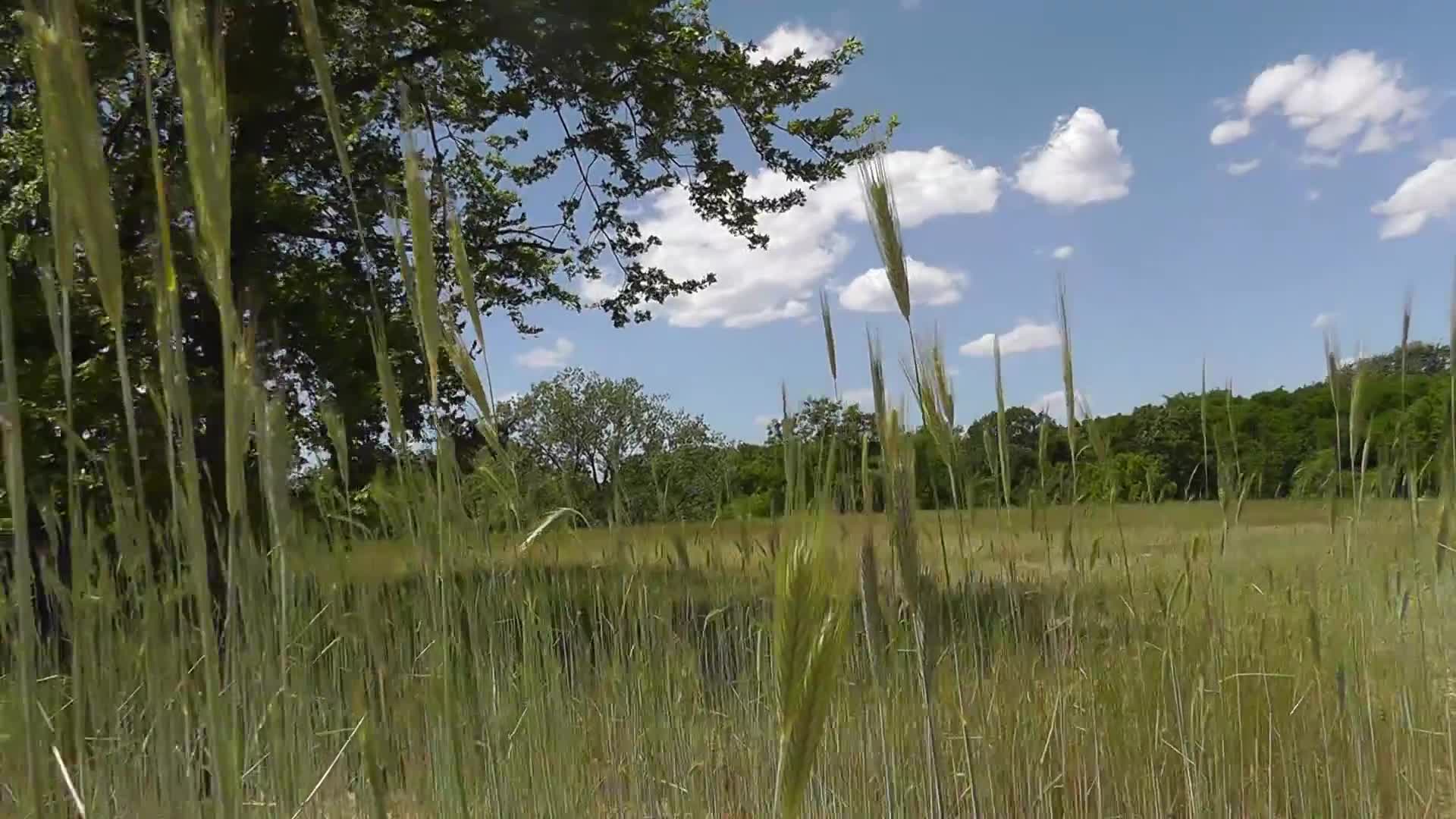 HOPE music by DARKMOOD | from the album WHEN TIME ENDS