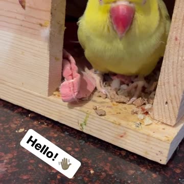 She’s looking a little rough!