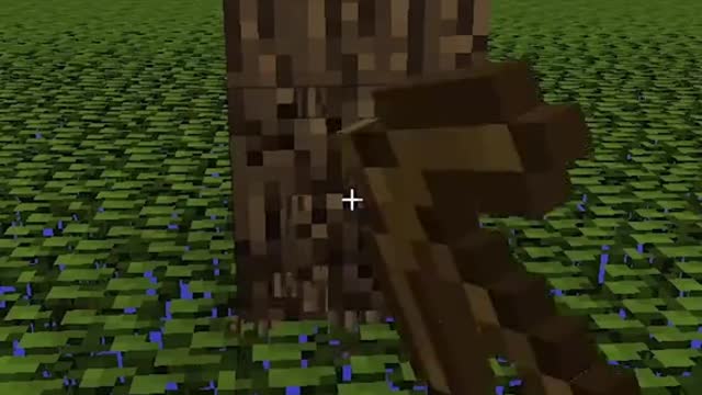 Am I the only one who sees this 😳😬