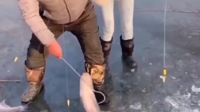 lady fisher winter fishing