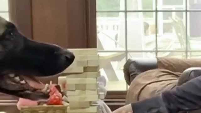 Good game fren
