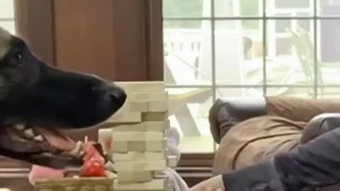 Good game fren