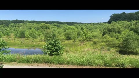 Warrior Sciences University ; Wetlands and lake trail hike