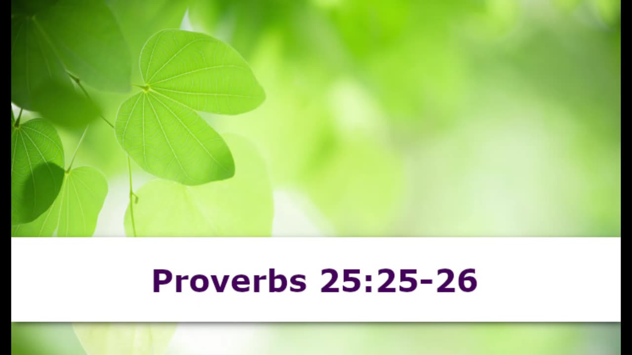 1 Minute -- Proverbs 25 Devotional -- May 25, 2023