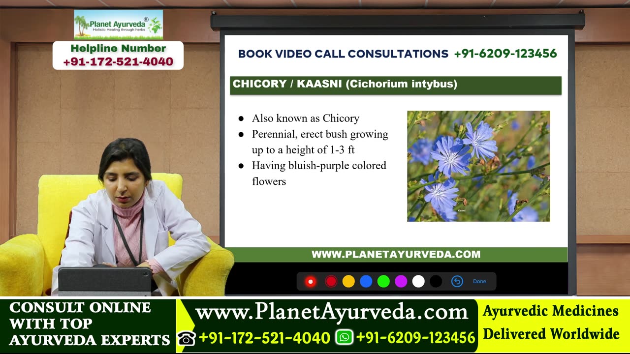 Yakrit Plihantak Churna - Natural Supplement for Liver Health