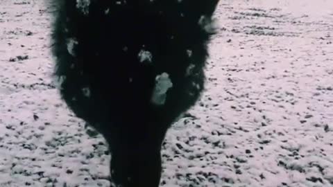 Security explosion