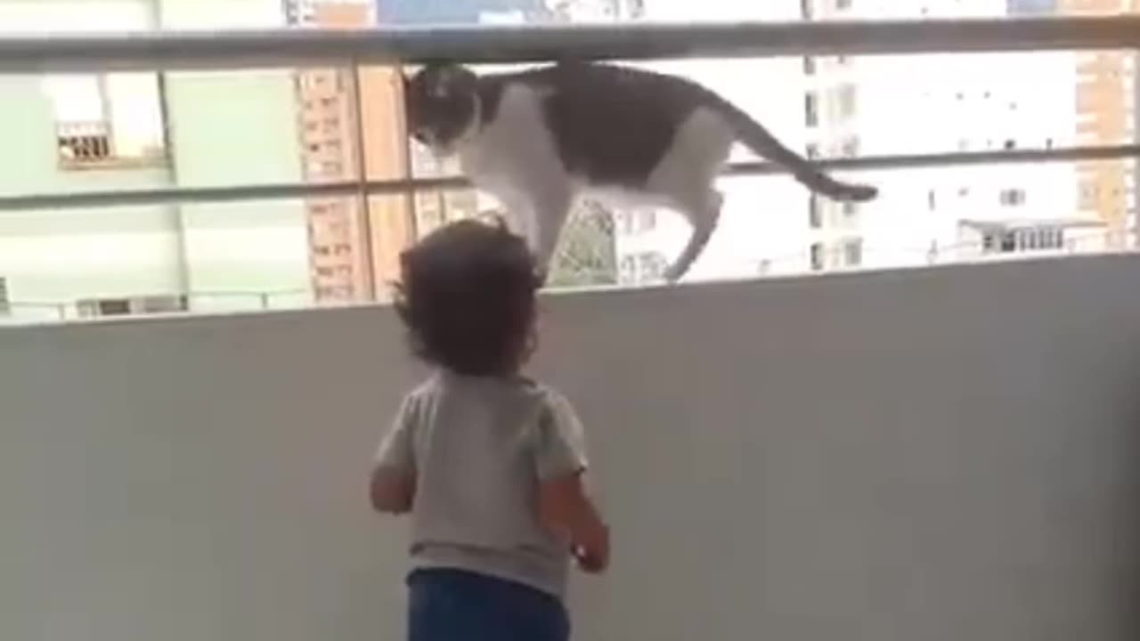 Naughty child saved by cat