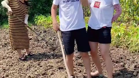 Funy videos