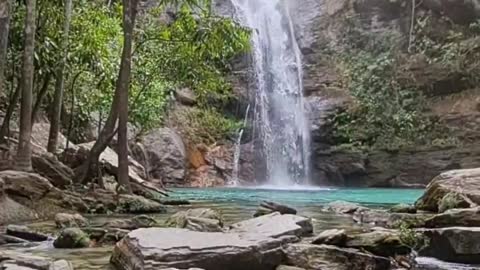 Um pouquinho da energia boa que a natureza nos transmite!