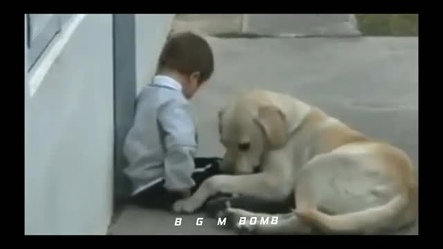 Humanity Whatsapp Status! Heart breaking video ! Dog s s love toward