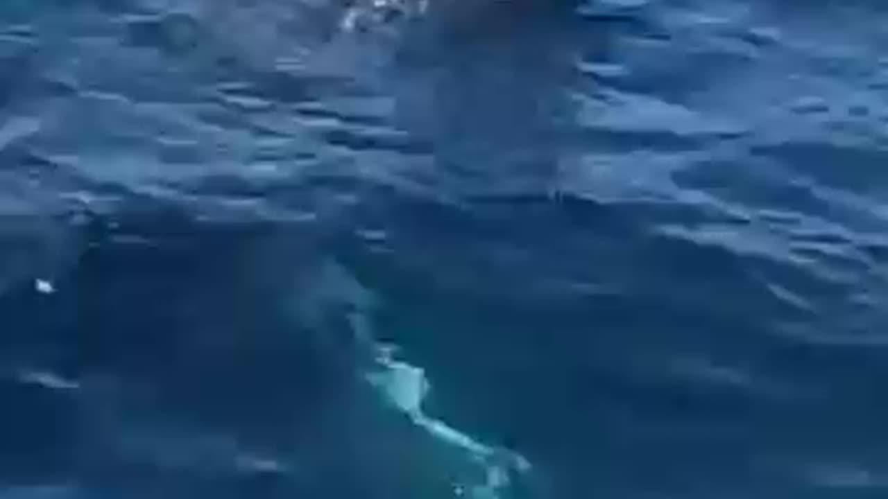 Right beside the boat!