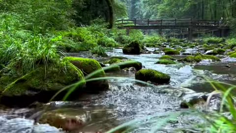 The green mountains remain silent, and the stream flows long.