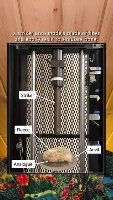 News Break!!! Beards