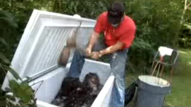 Big Foot and Patterson HOAX (audio 1)...