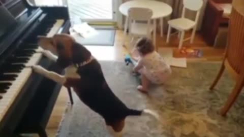 DOG 🐕 PLAYS 🎹😆WHILE 🤣HOWLING 😝BABY😅 DANCES 🤣PLAYS 🎸