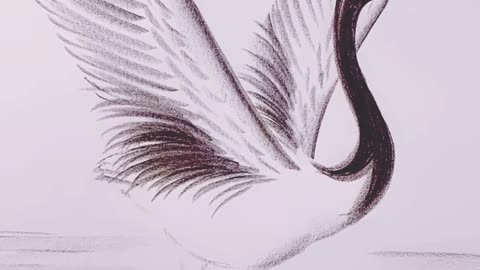 Hand Art and drawing