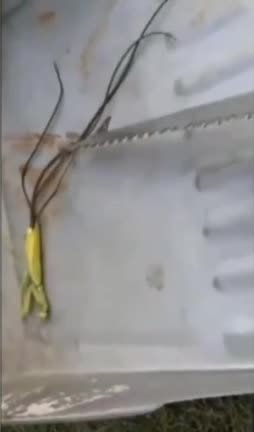 MORGELLONS, PARASITE.OVERTAKES THE BODY, THE HOST IS ALREADY DEAD