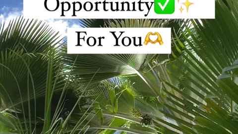 How to make money online 💵✨||
