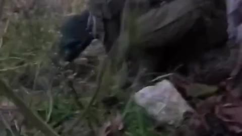 Ukrainians Wounded by Rockets After Being Caught in Ambush