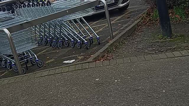 Man Gets Arrested By Irish Police ,Then Flees
