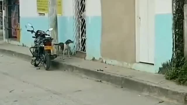 Latest Funny Video 😅