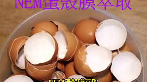 生技新寵兒 NEM蛋殼膜萃取