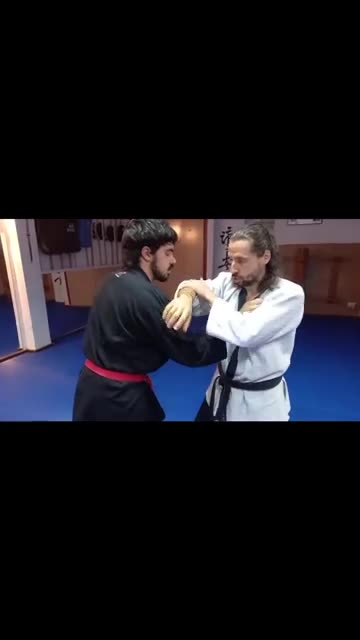 Hapkido