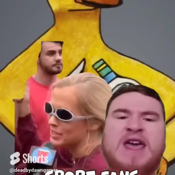 sport fans During playoffs