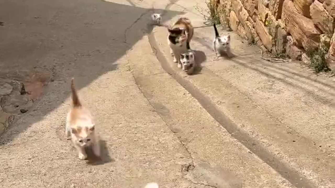 Part of the familia!