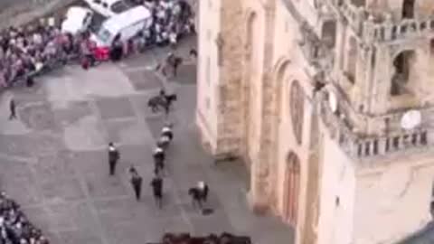Konie krążą w kółko